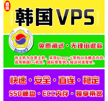 韩国VPS机房4096M国外，网络搜索引擎个字母